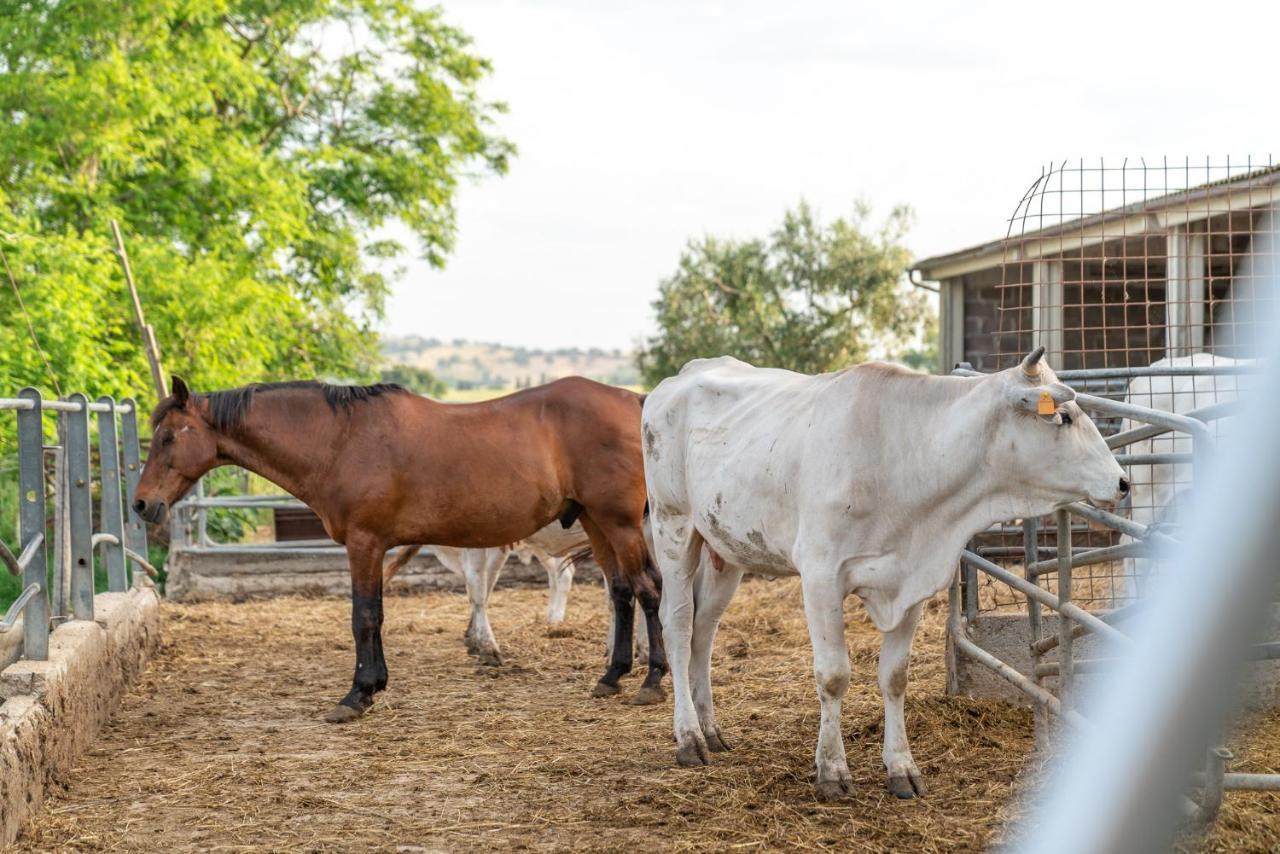 Agriturismo Al Girasole San Donato  Kültér fotó